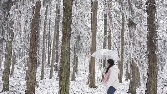 4K美女打伞在雪景树林里穿梭视频的预览图