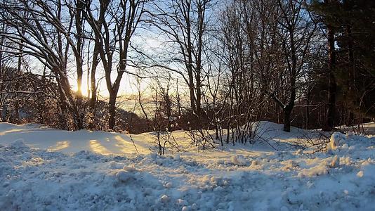 令人惊叹的野外冬季风景日落时有雪山树木视频的预览图