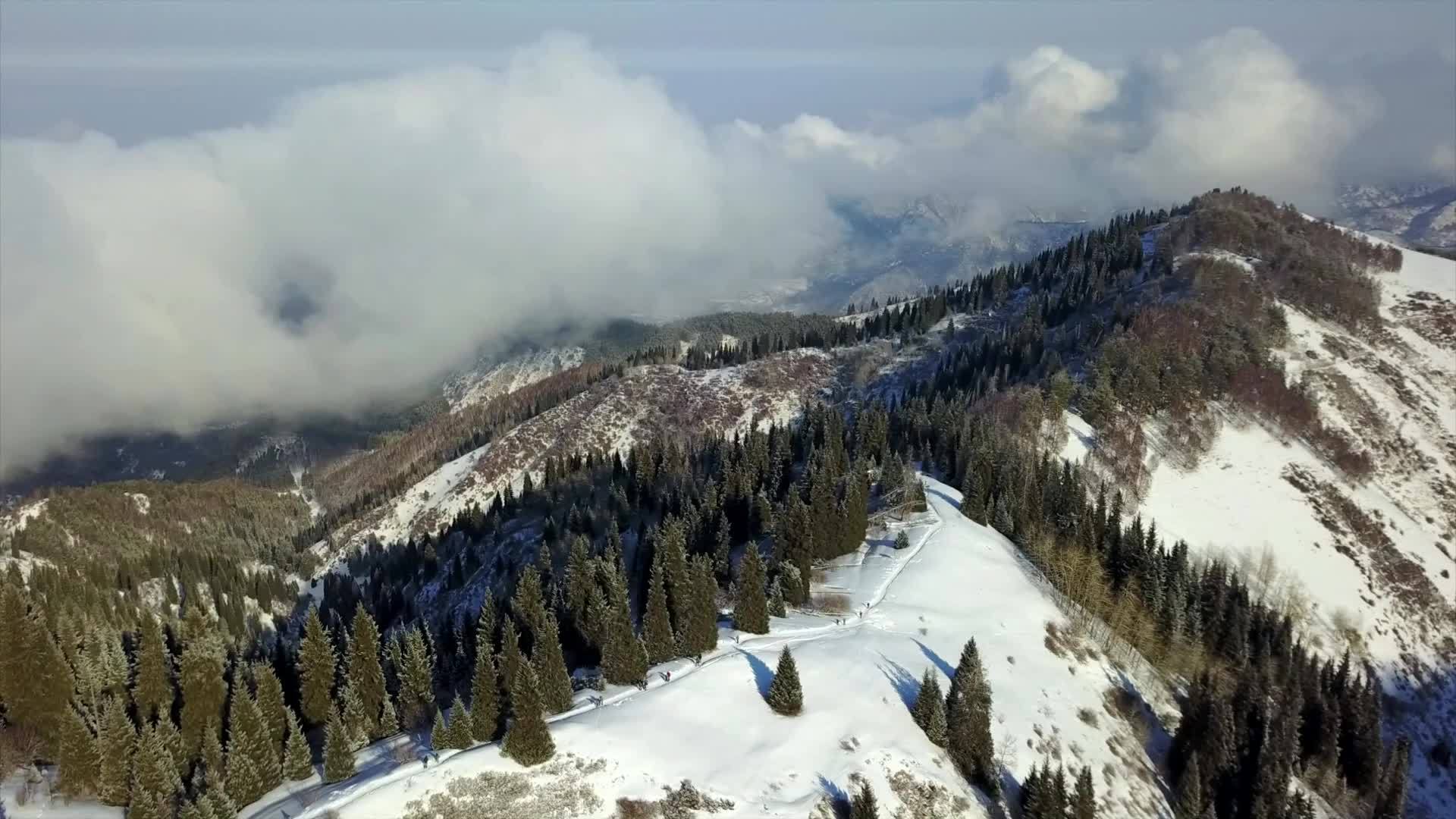 看看雪山和森林视频的预览图