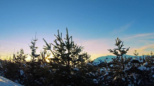 冬天在山路上行驶穿过冬天的山松树和夕阳照耀在树顶上视频的预览图