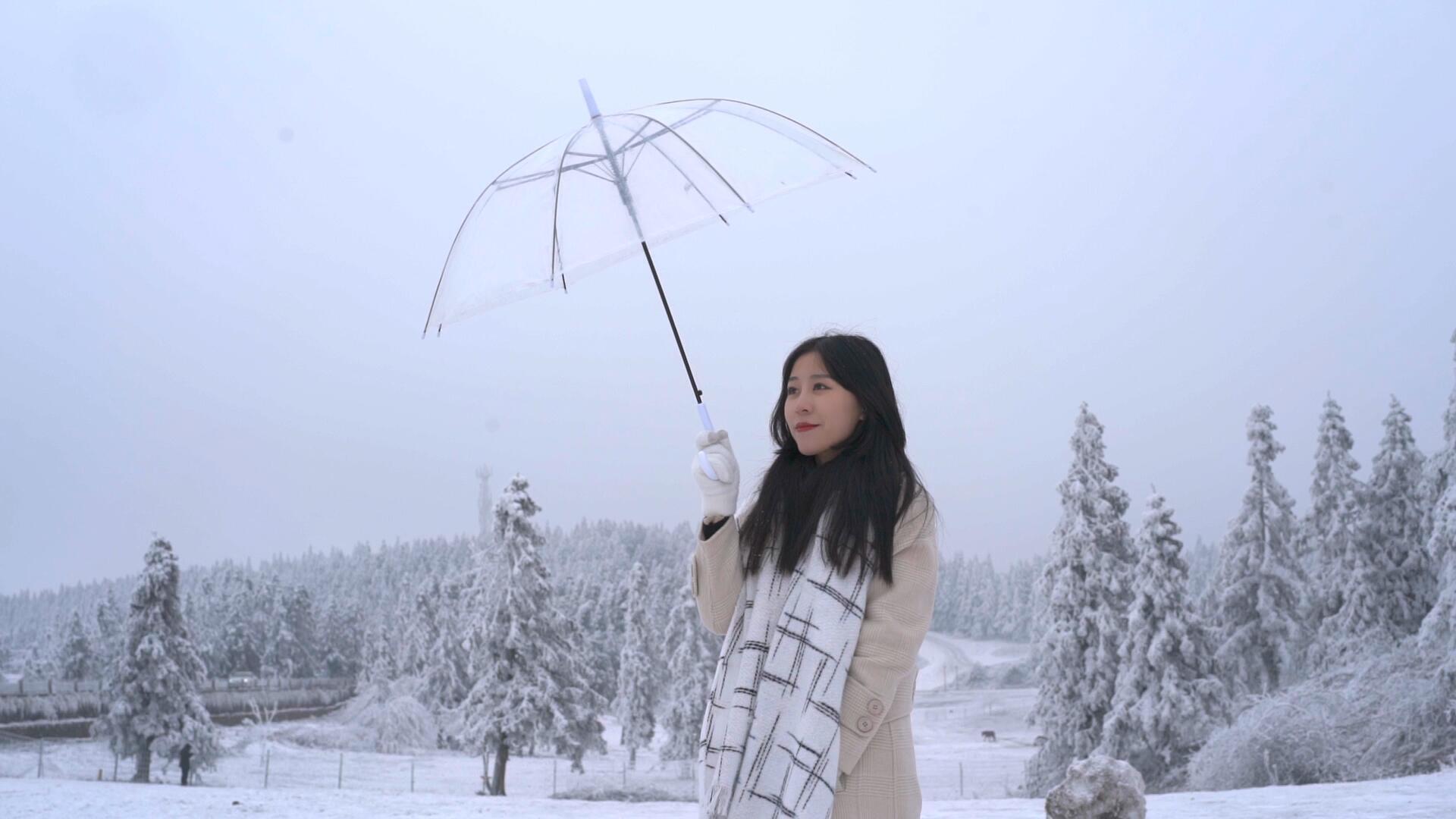 升格美女雪景里打伞视频的预览图
