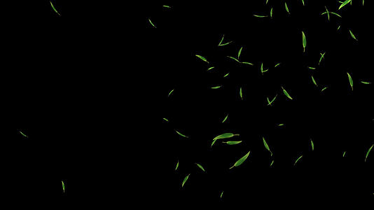 竹叶粒子漂浮下落(大量）2视频的预览图