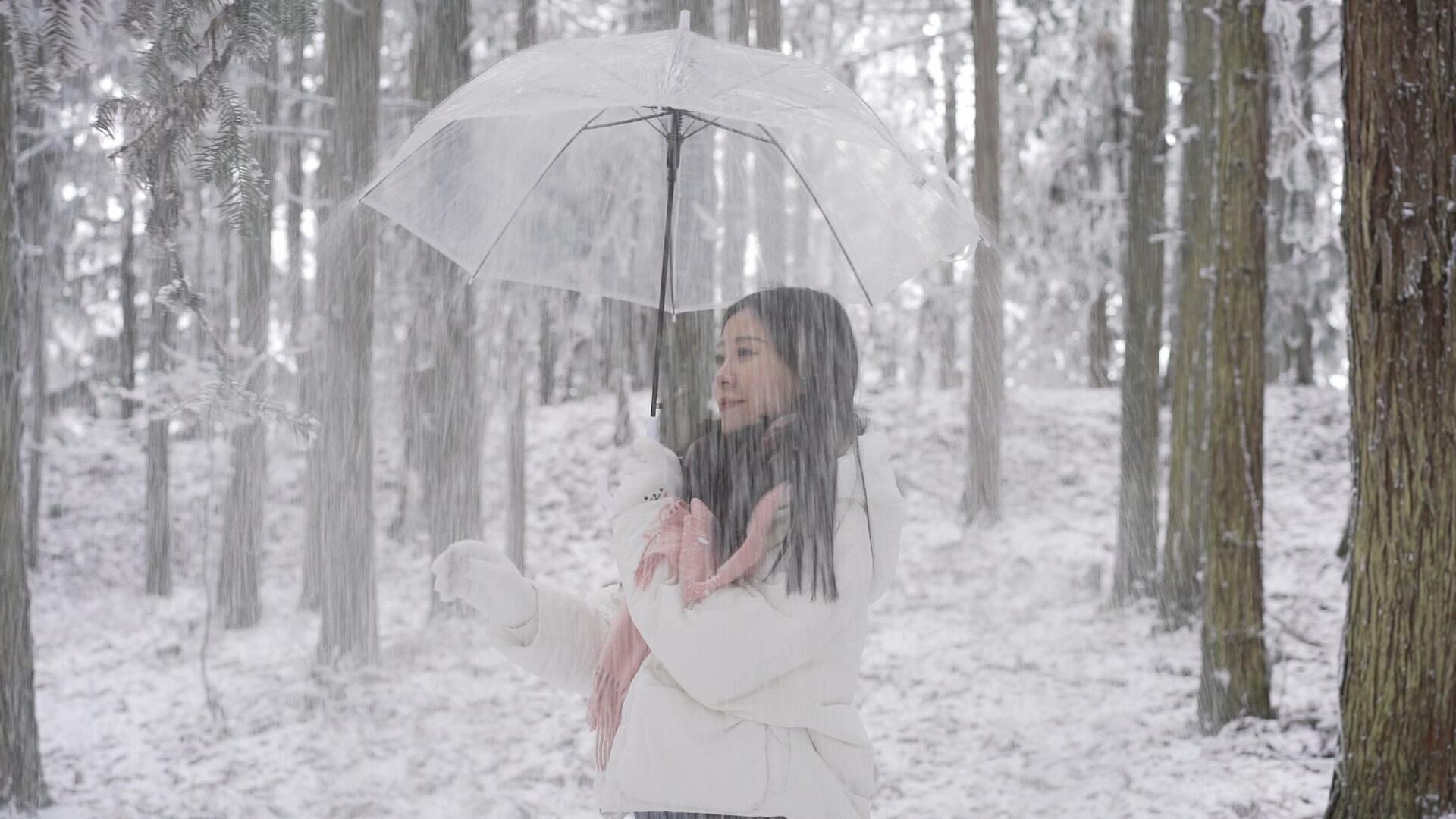 升格美女雪景里摇树枝雪花视频的预览图