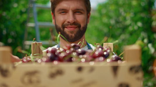 农学家拿着樱桃盒在现代种植园温室里看相机视频的预览图