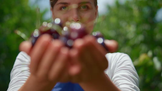小农场种植园里的农艺师妇女手里拿着收获的樱桃视频的预览图