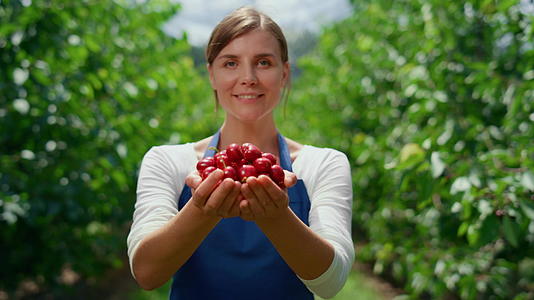 农妇手里拿着浆果樱桃在当地农贸市场的果园里视频的预览图