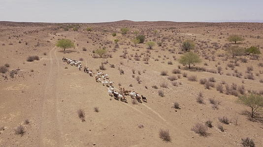 山羊上方的干旱沙漠地貌视频的预览图