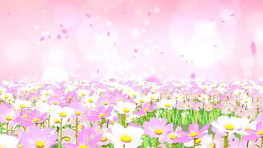 唯美温馨粉色动态花海粒子光效舞台背景视频视频的预览图