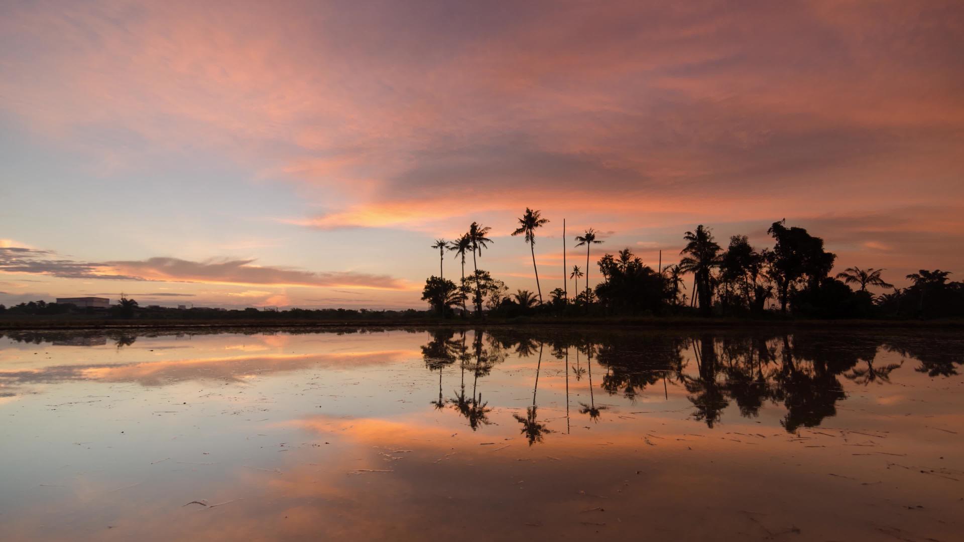 日出时间在椰子岛上反射视频的预览图