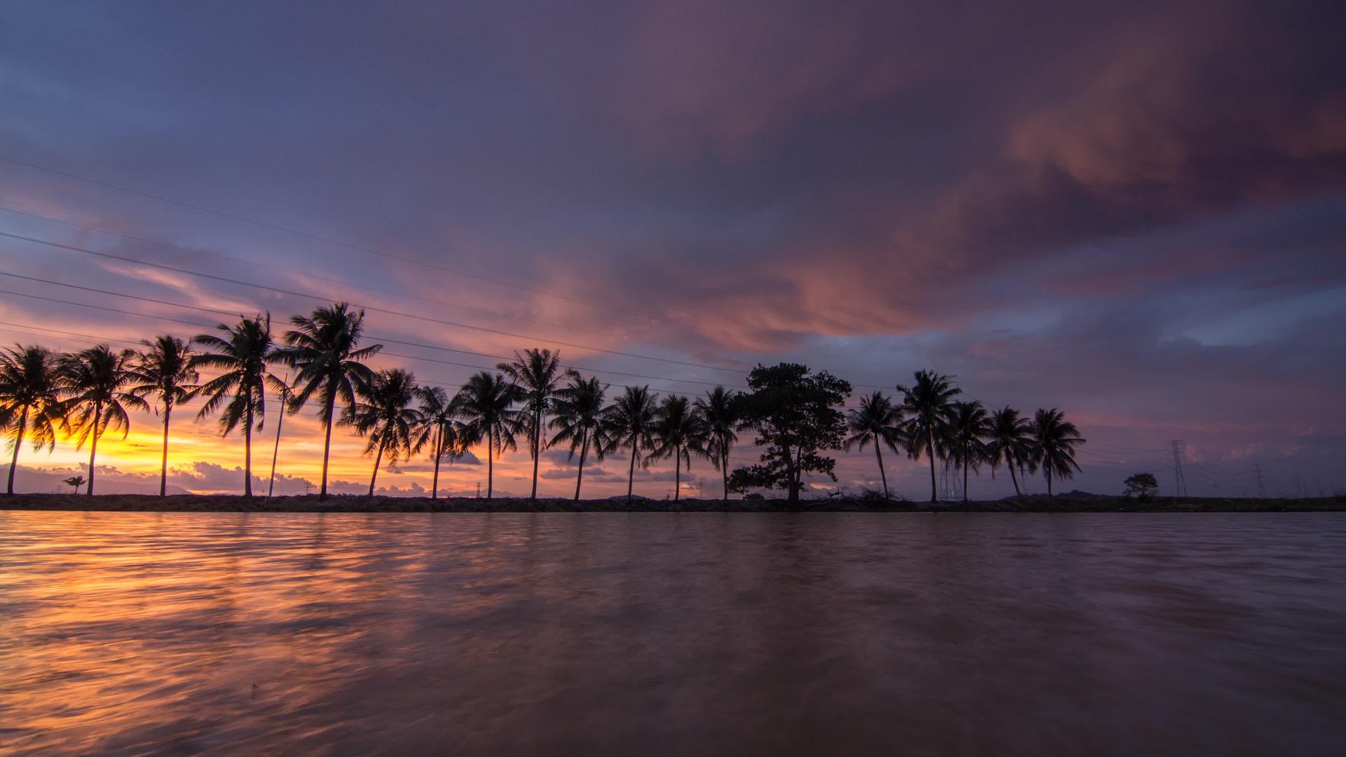 在Bukitmertajam日落反射椰子树视频的预览图