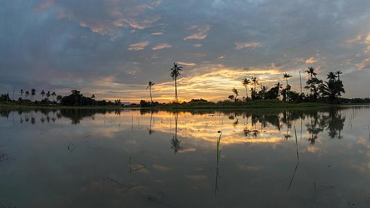 时空反射日落金云椰子树视频的预览图