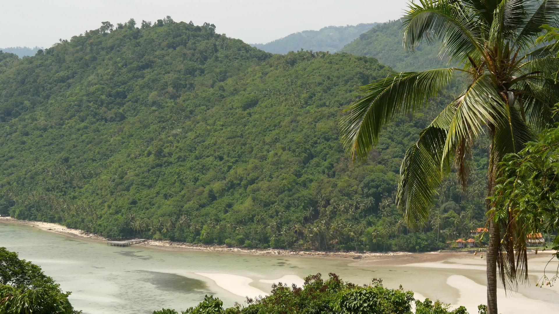 苏梅岛茂密地点缀着树木和令人惊叹的热带天堂exoyic视频的预览图