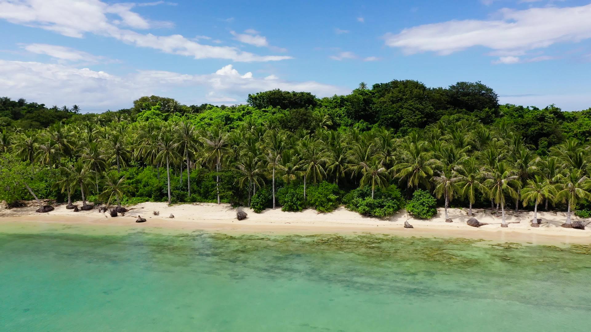 野白沙滩卡拉莫岛菲利平群岛有椰子树视频的预览图
