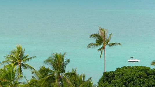 热带海岸有外国椰子绿棕榈树和黄风海水视频的预览图