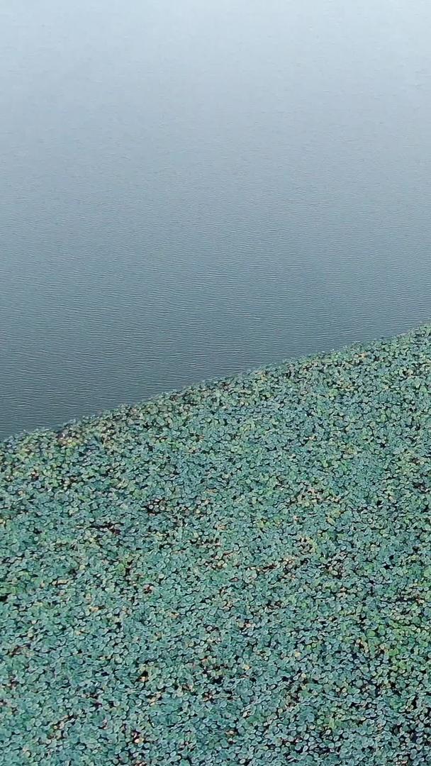 杭州西湖白堤航拍视频的预览图