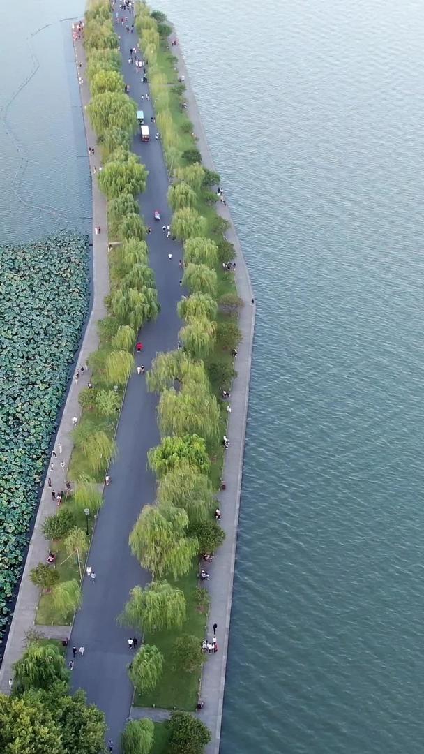 杭州西湖白堤航拍视频的预览图