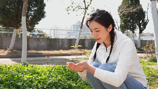 双手捧植物的青年女性视频的预览图