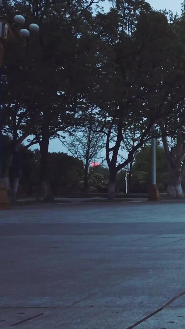 武汉长江滩防洪英雄纪念馆夜景视频的预览图