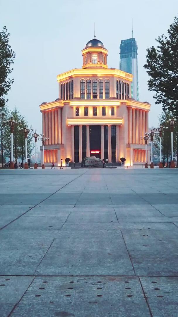 武汉长江滩防洪英雄纪念馆夜景视频的预览图