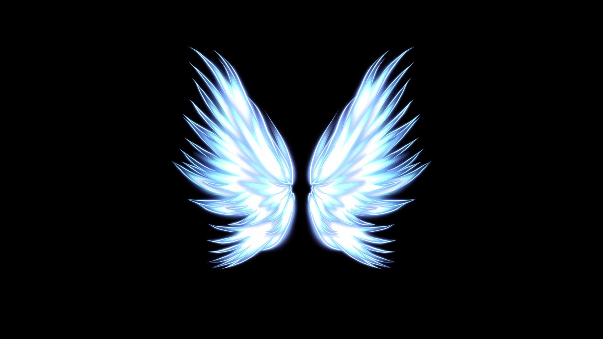梦幻光感蓝色翅膀视频的预览图