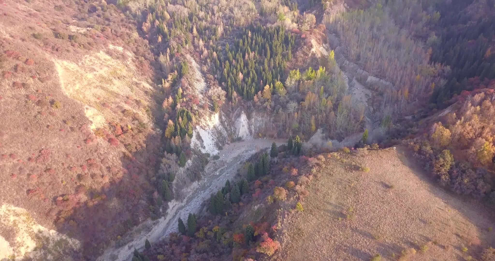 秋山森林无人机视野最高视频的预览图