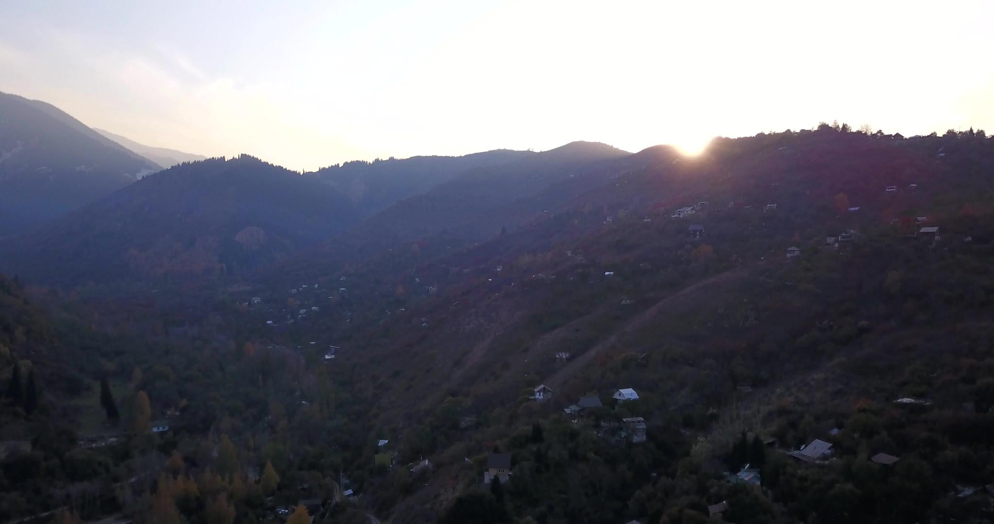 秋山森林无人机视野最高视频的预览图
