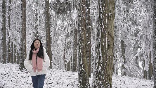 4K美女在雪地树林里行走视频的预览图