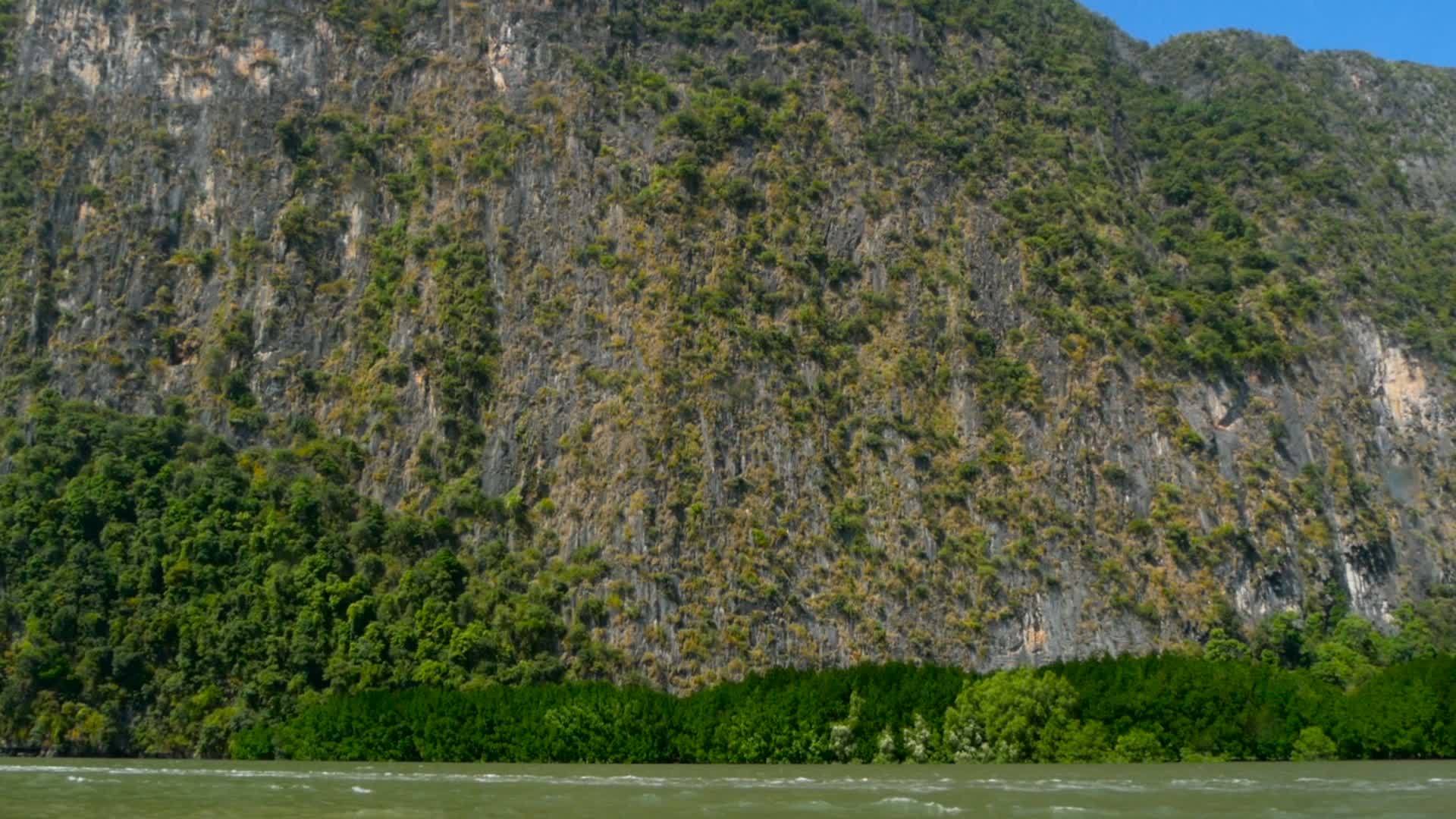 高悬崖上的巨大河浪上有稀有的树视频的预览图