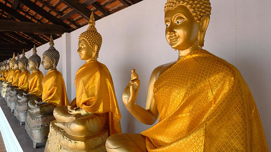 泰国寺庙佛像林立拍摄4K视频的预览图