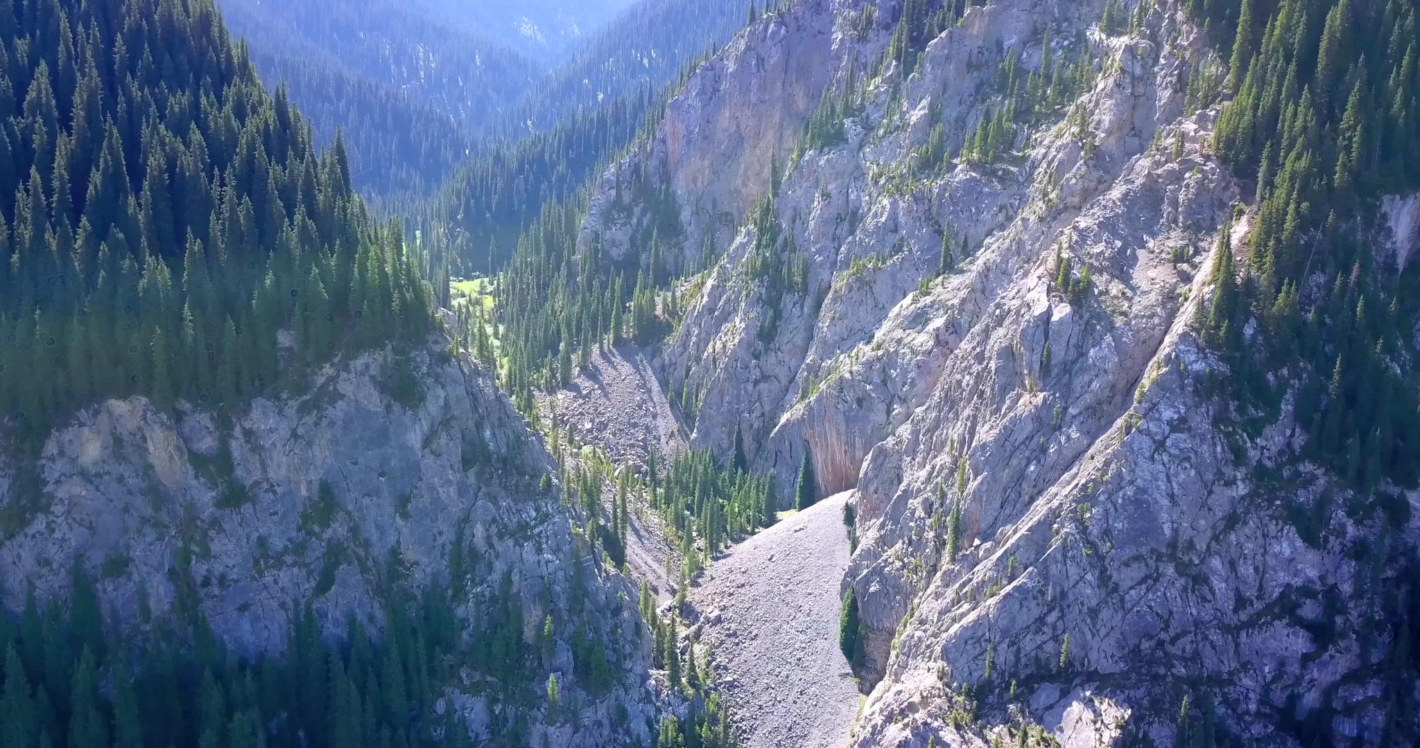 从上面看森林和峡谷的风景视频的预览图
