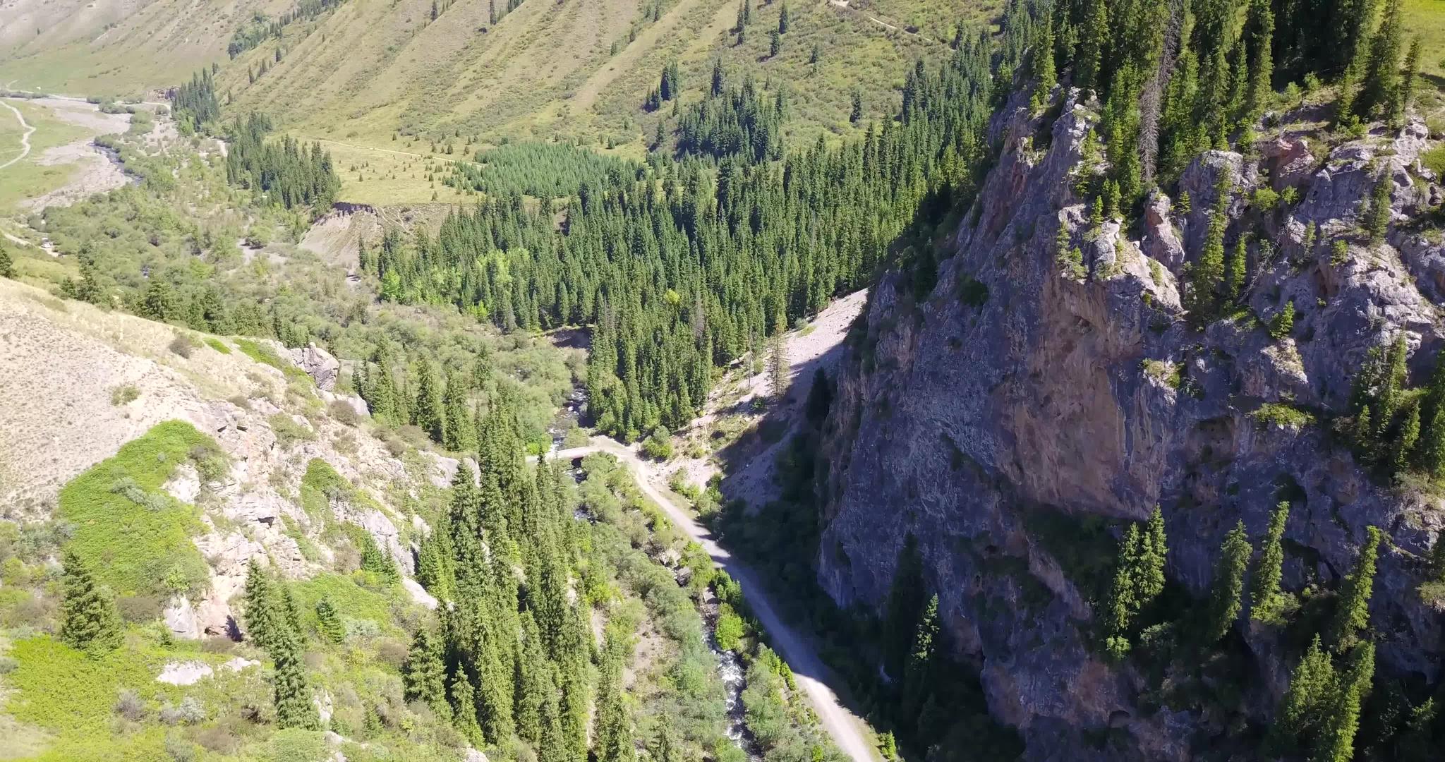 从上面看森林和峡谷的风景视频的预览图