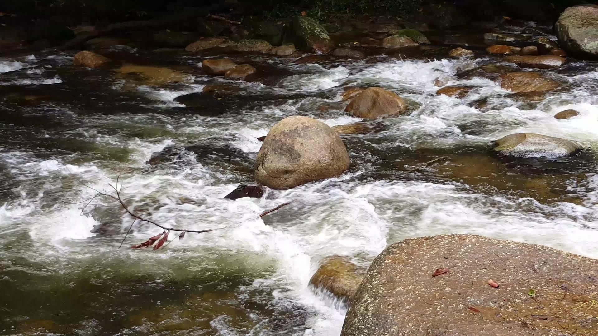 泉水从松树的岩石上流下来视频的预览图