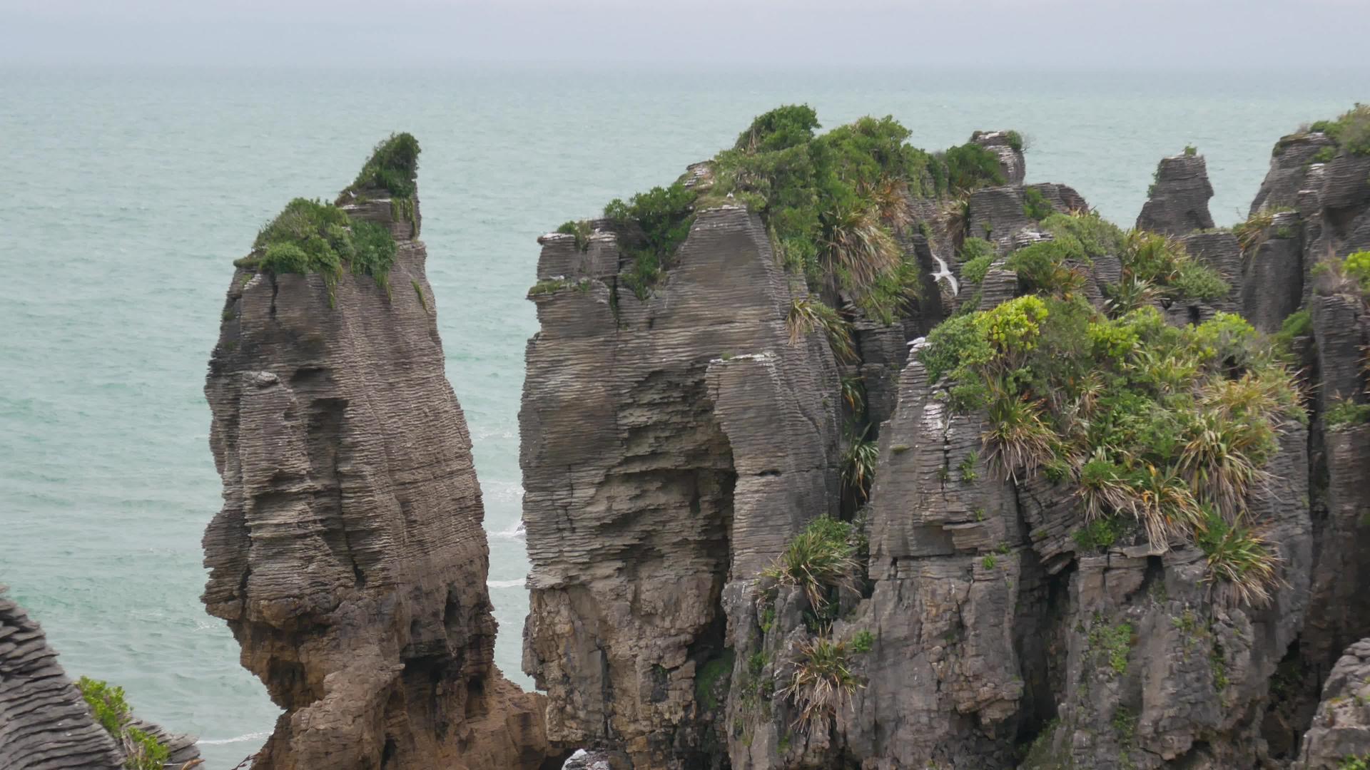 西海岸Punakaiki悬崖视频的预览图