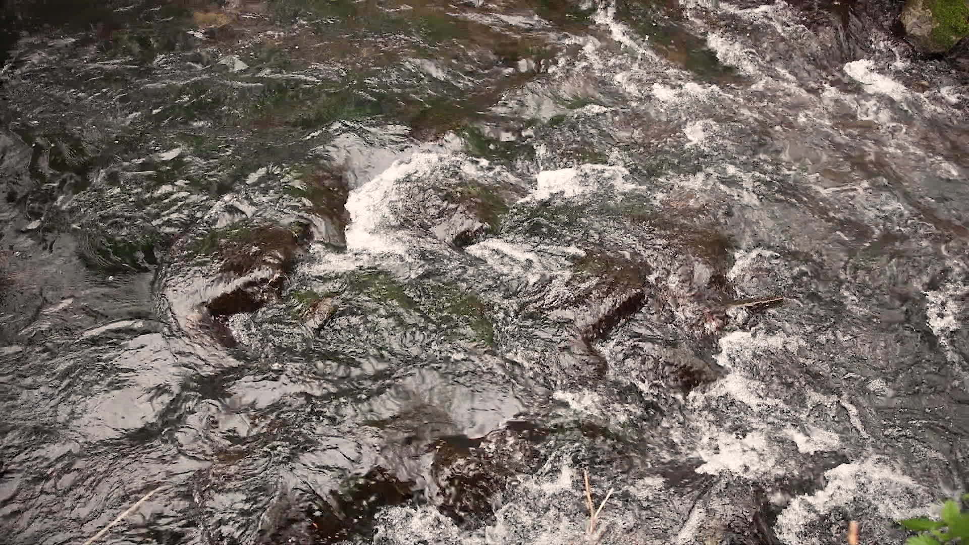 石头上流水视频的预览图