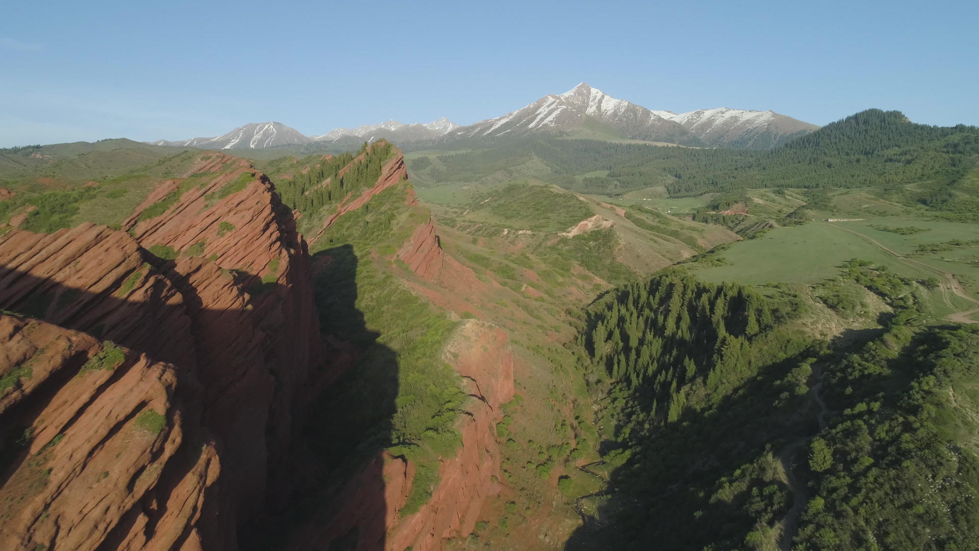 背景中的红色岩石针叶林和山上的空中射击无人机视频的预览图