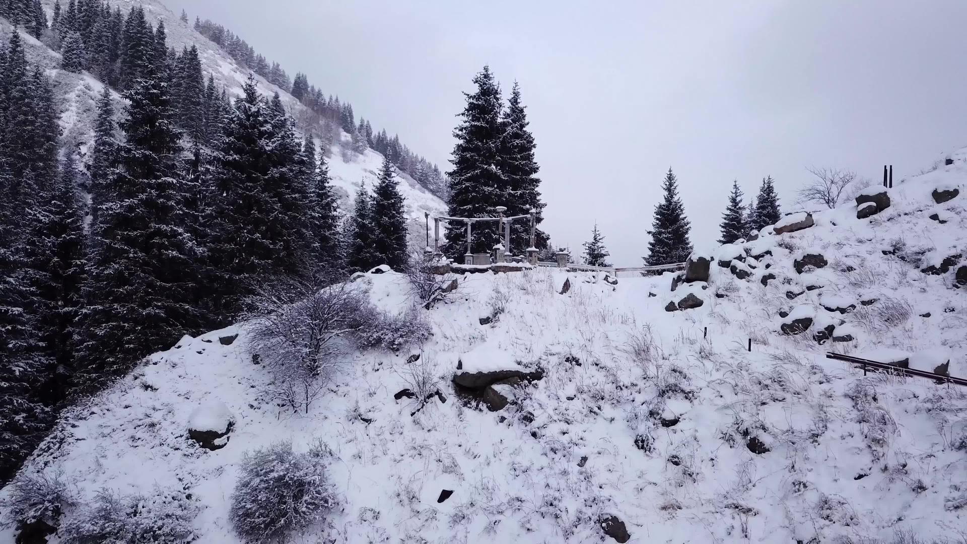 雪山上有一座破碎的瞪羚视频的预览图