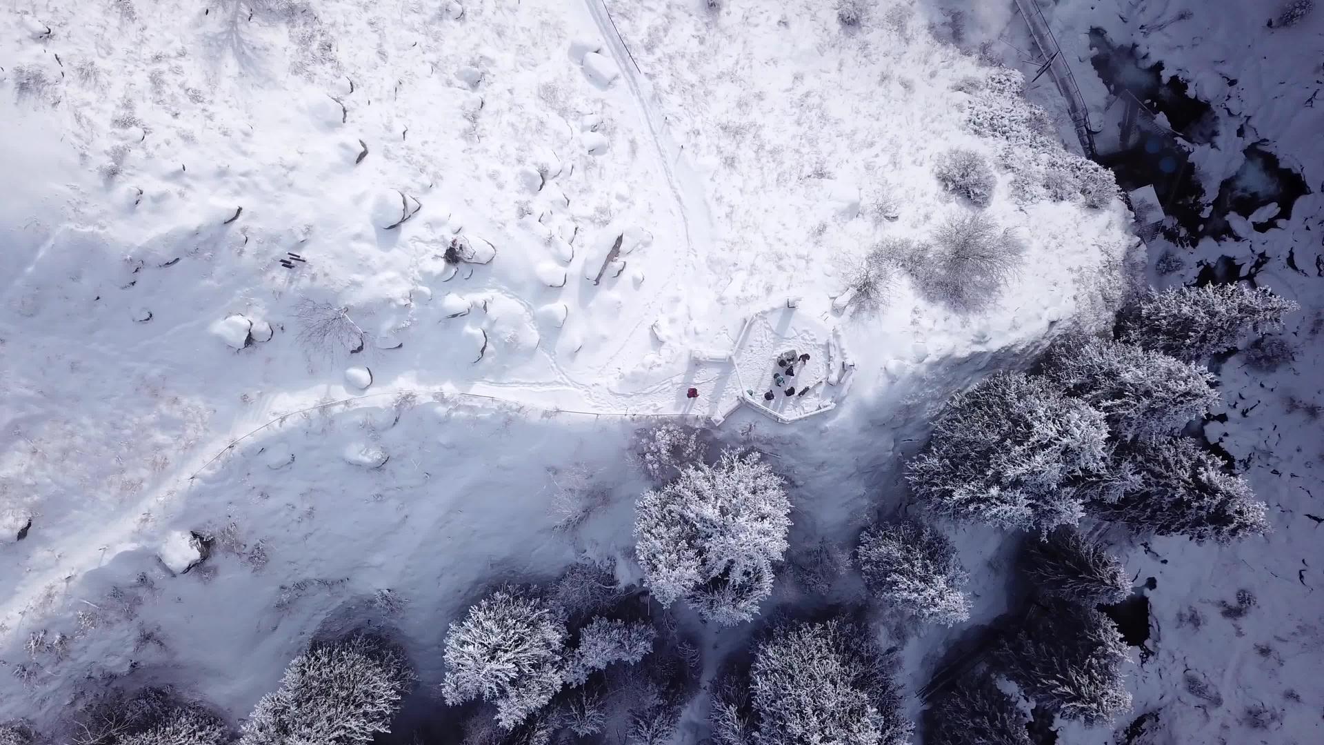 雪山上有一座破碎的瞪羚视频的预览图