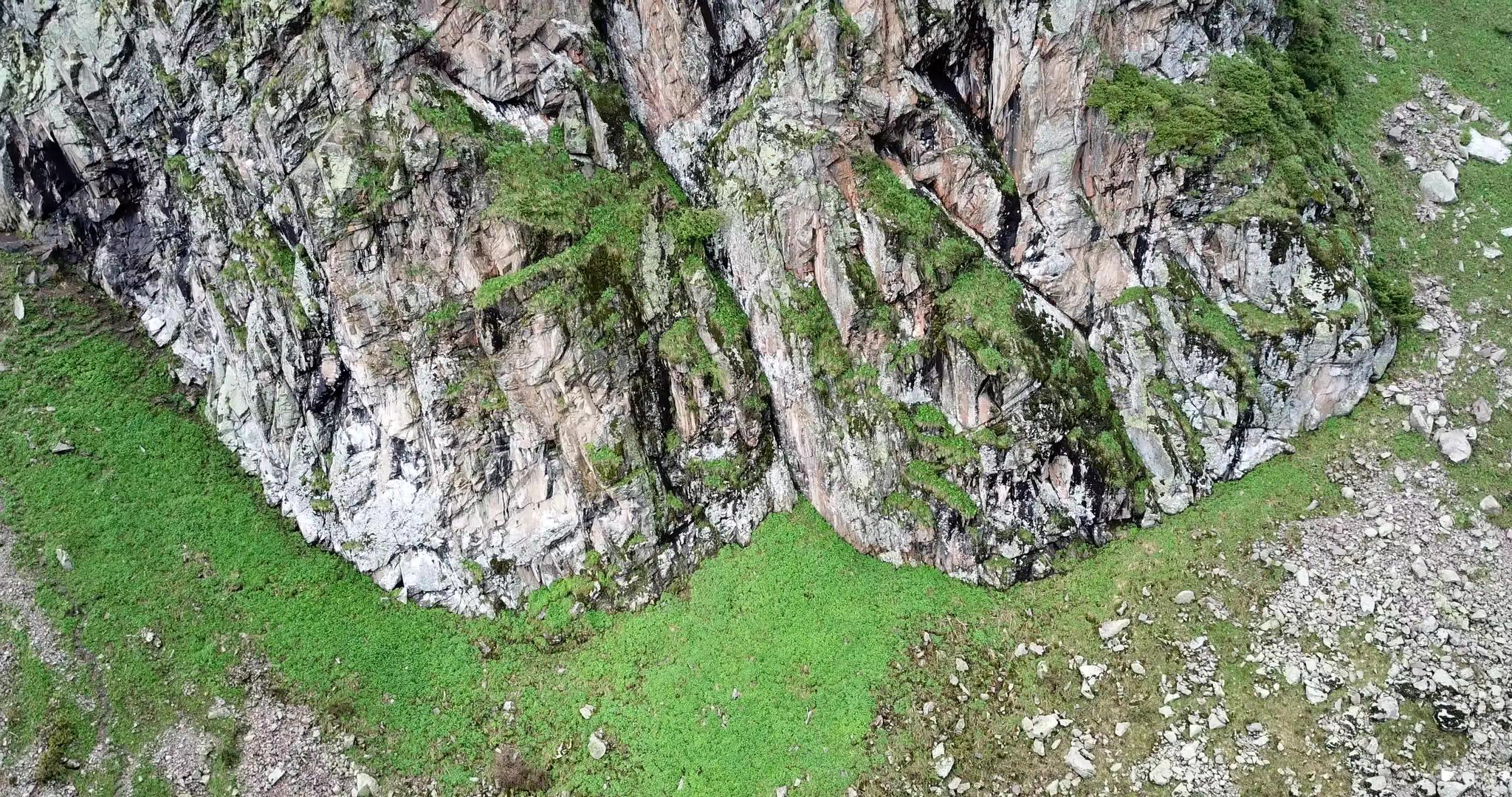 绿峡谷山上有森林视频的预览图