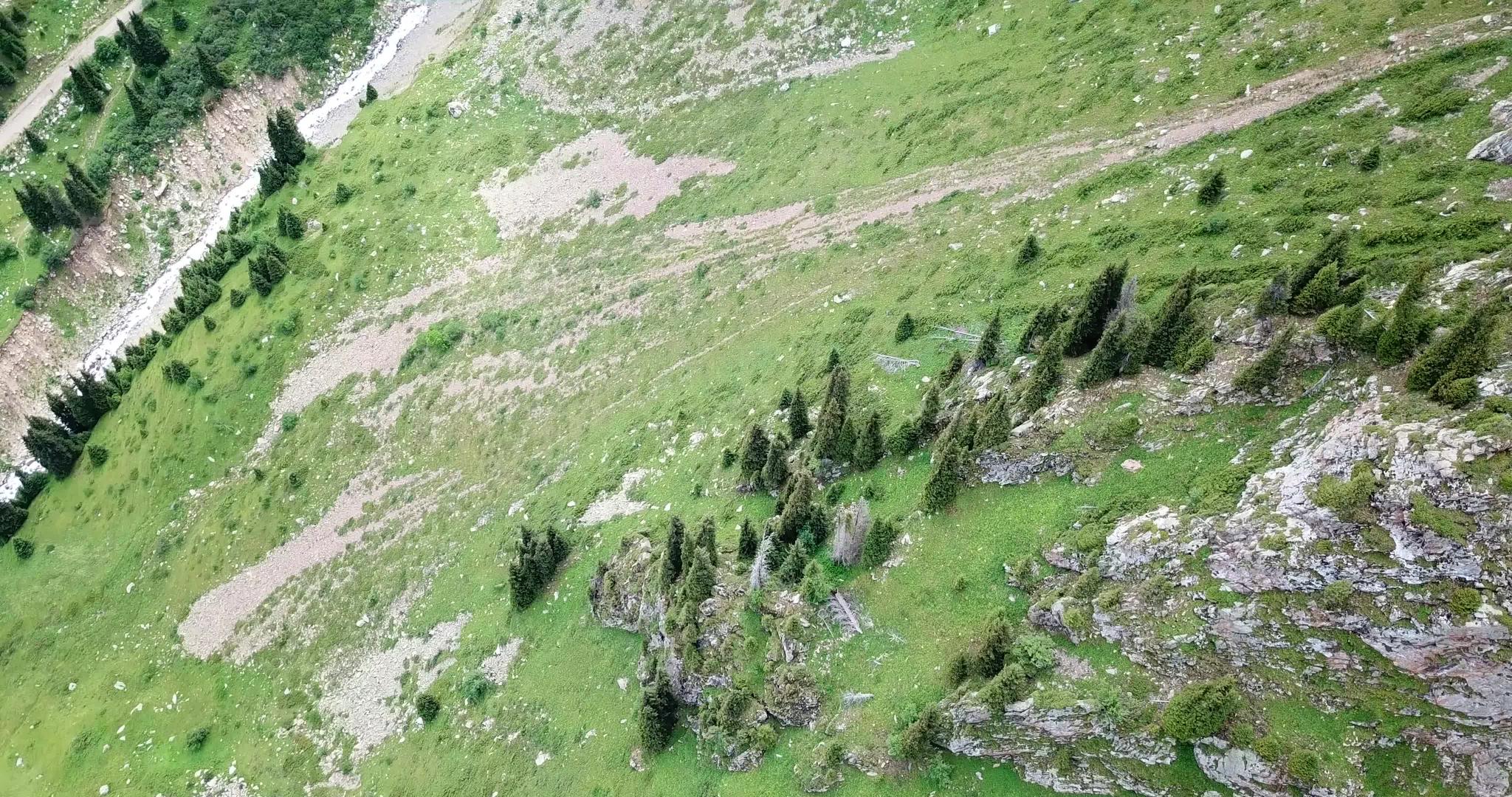 高岩在绿色峡谷中视频的预览图