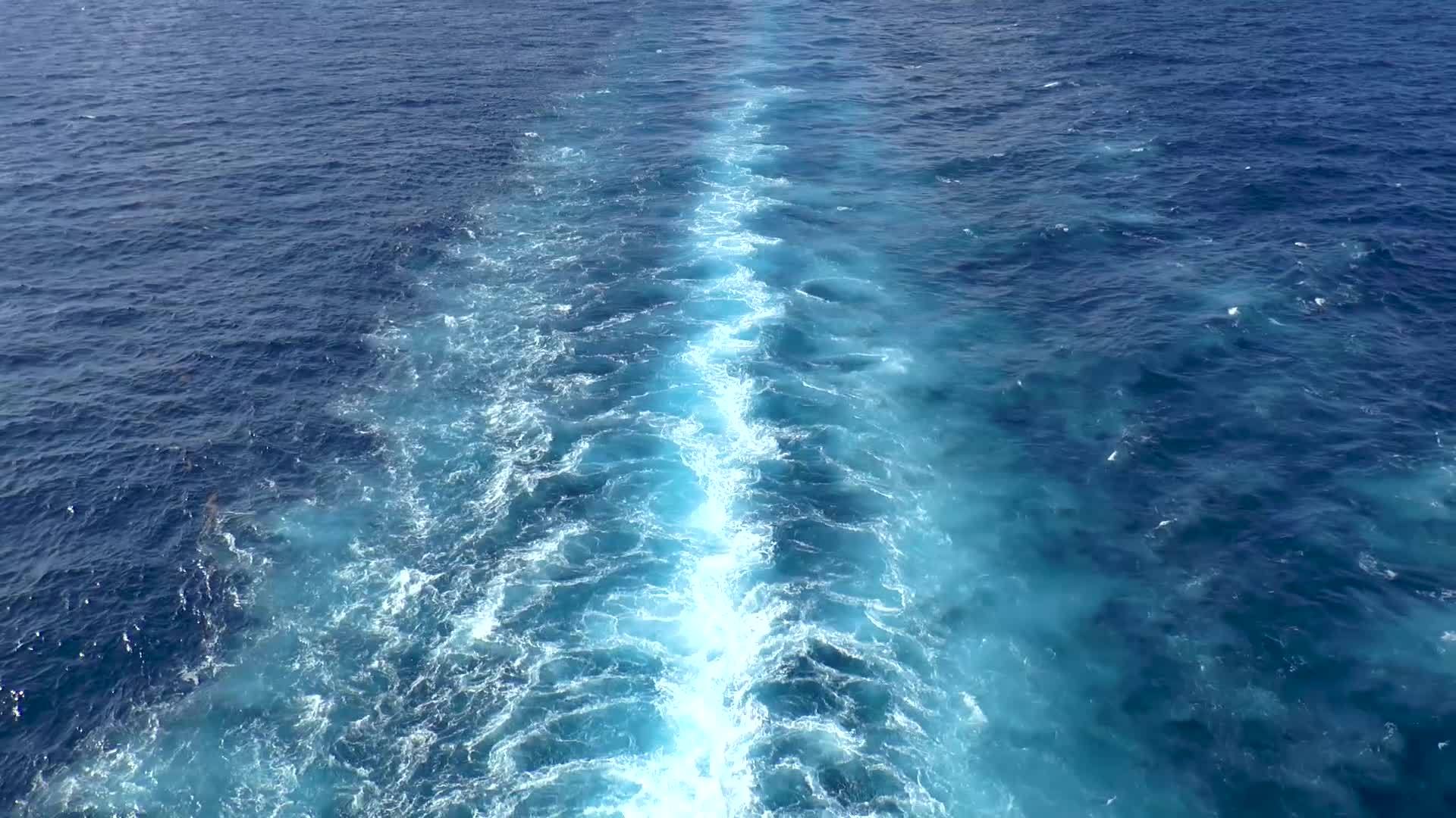 海上游轮航道视频的预览图