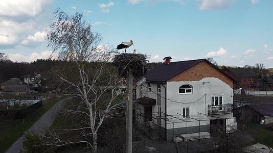 鹳鸟和乡村别墅的鸟瞰图视频的预览图