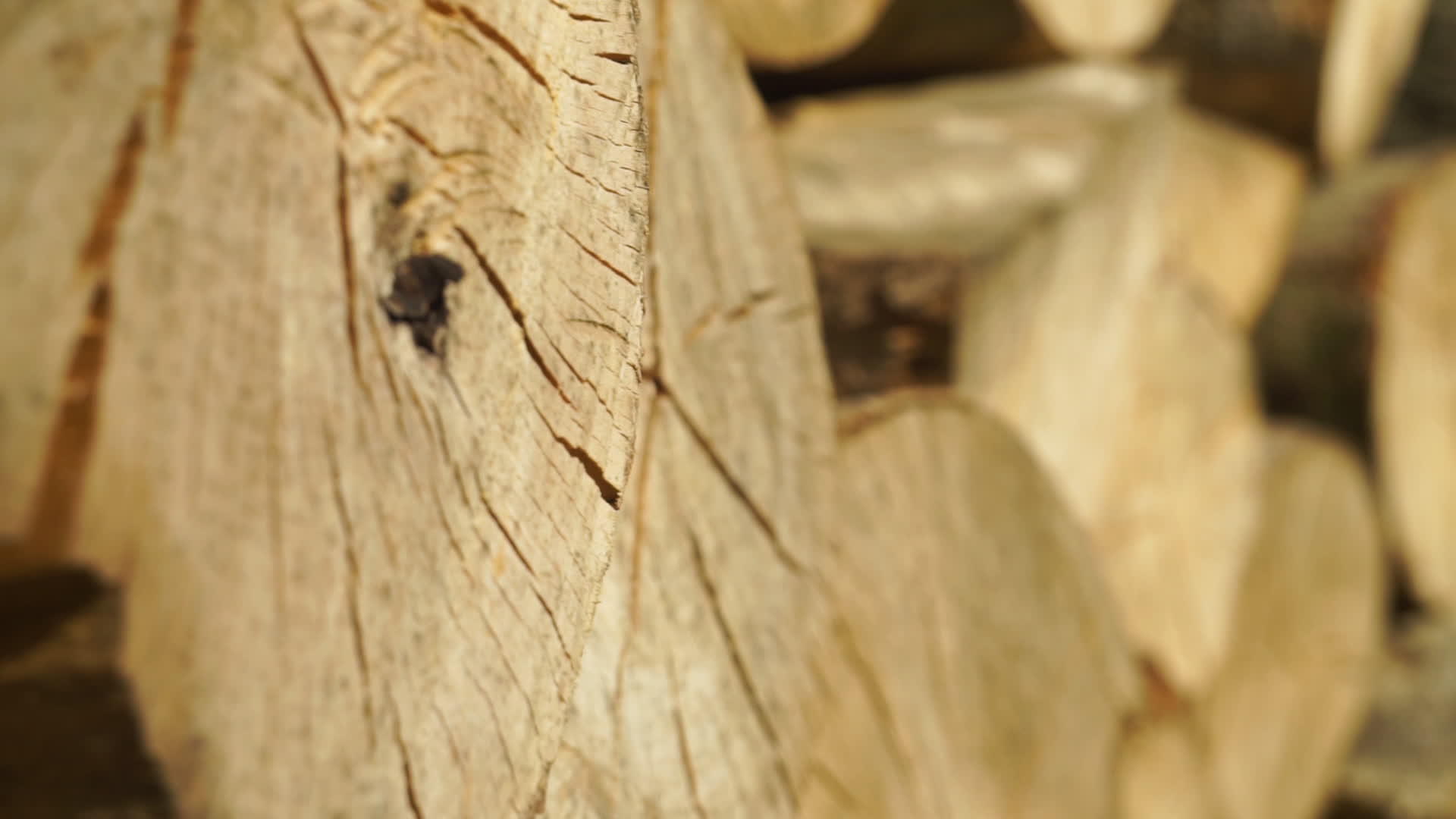 木柴、木头和原木堆放在极端特写镜头上视频的预览图