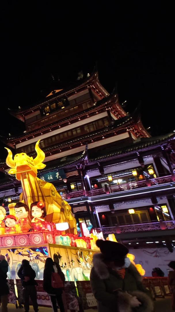 上海城隍庙灯会新春牛年主题视频的预览图