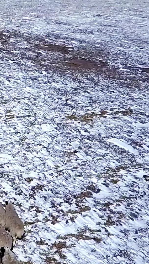 内蒙古草原羊群航拍视频的预览图