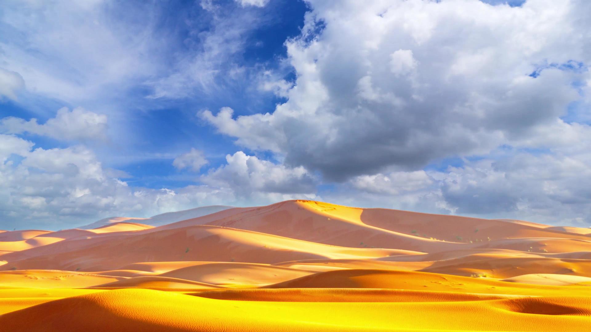 撒哈拉沙漠风光视频的预览图