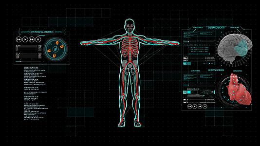 4K智慧医疗人体展示AE模板视频的预览图