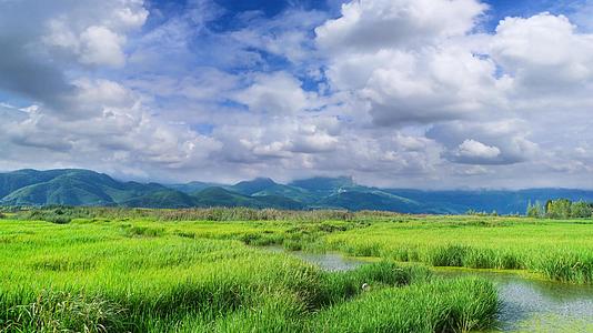 云南地区泸沽湖的草海自然风光视频的预览图