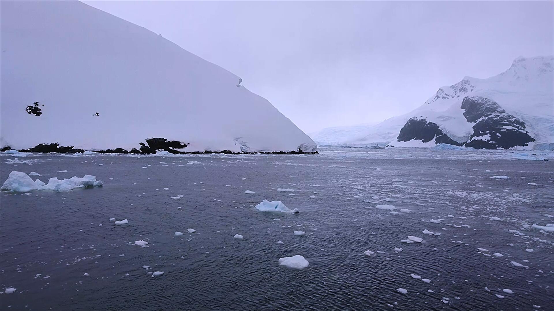 南极大陆冰雪消融视频的预览图