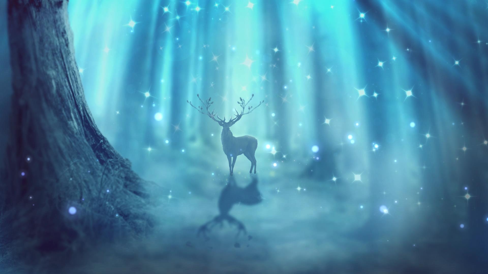 动态梦幻美味丛林粒子光效背景视频元素视频的预览图