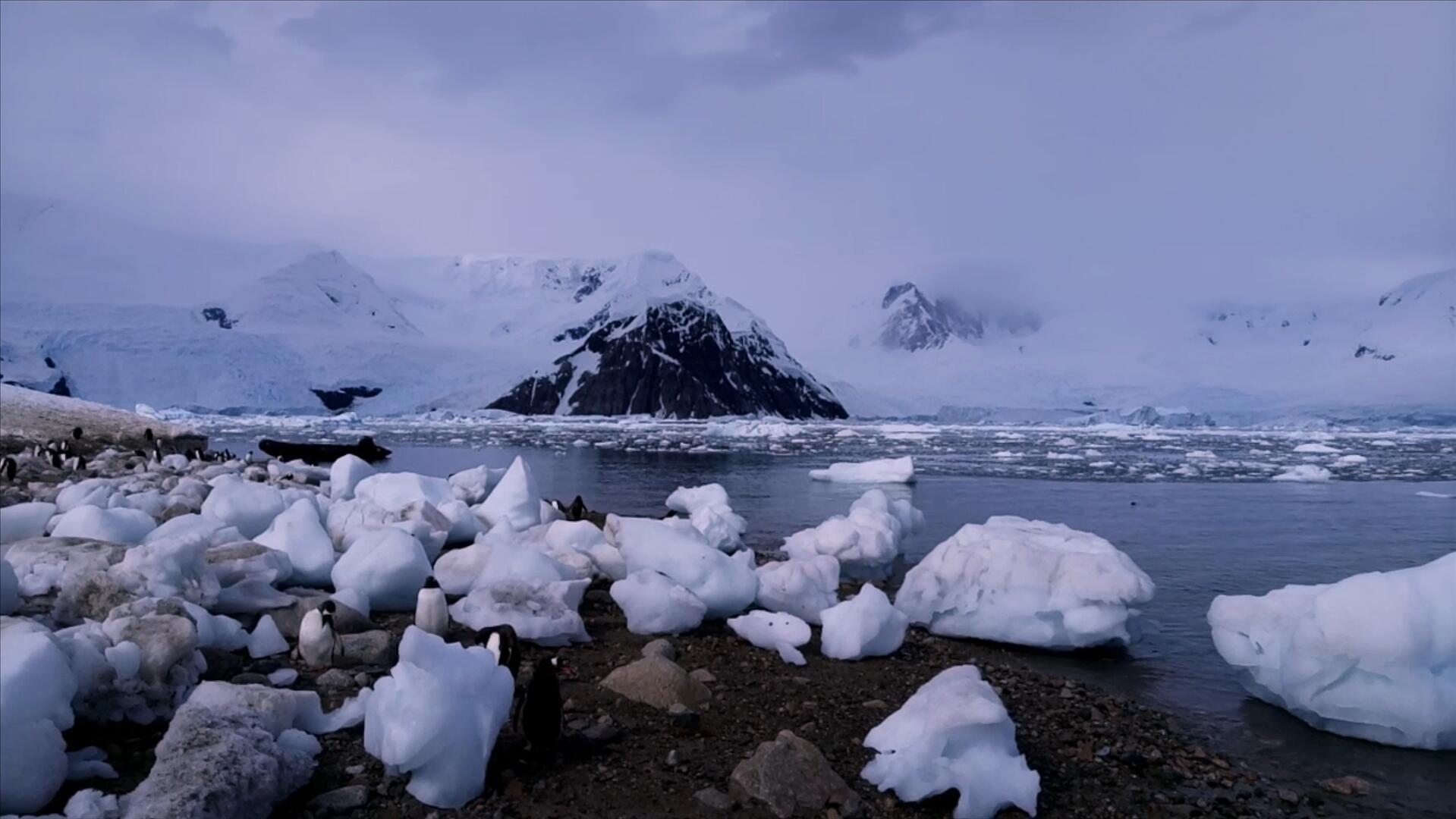南极大陆风光视频的预览图
